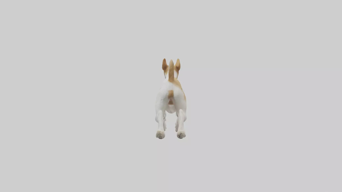 Fox Terrier running model 3D model