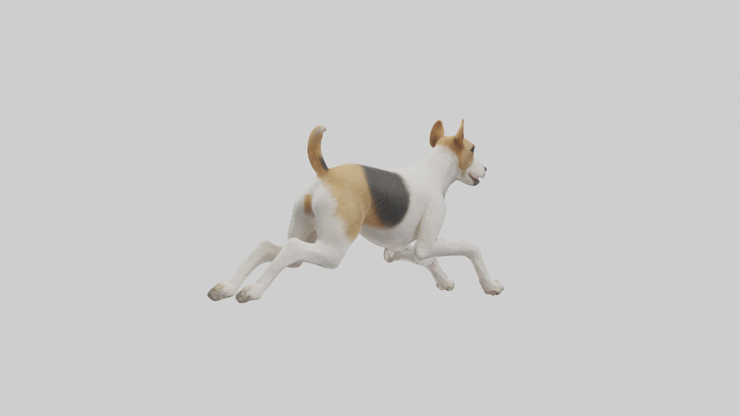 Fox Terrier running model 3D model