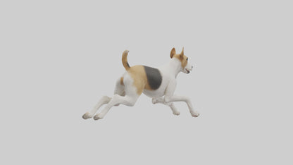 Fox Terrier running model 3D model