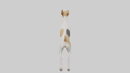 Fox Terrier running model 3D model