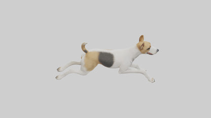Fox Terrier running model 3D model
