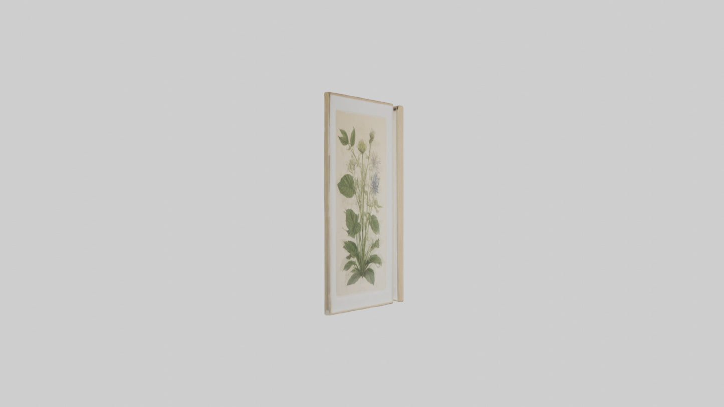 Framed Botanical Prints 3D model