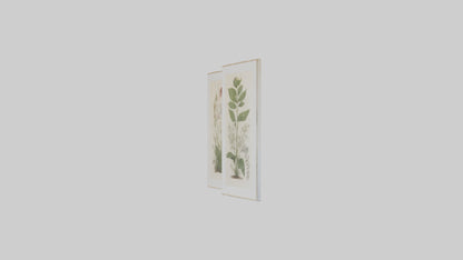 Framed Botanical Prints 3D model