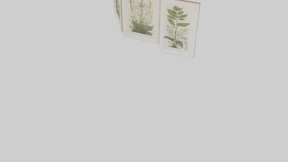 Framed Botanical Prints 3D model