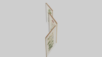 Framed Botanical Prints 3D model