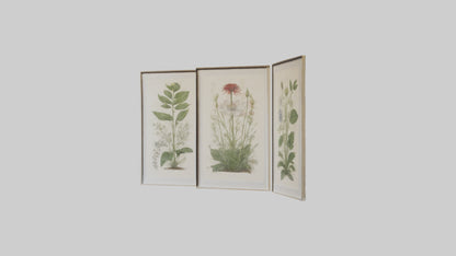 Framed Botanical Prints 3D model