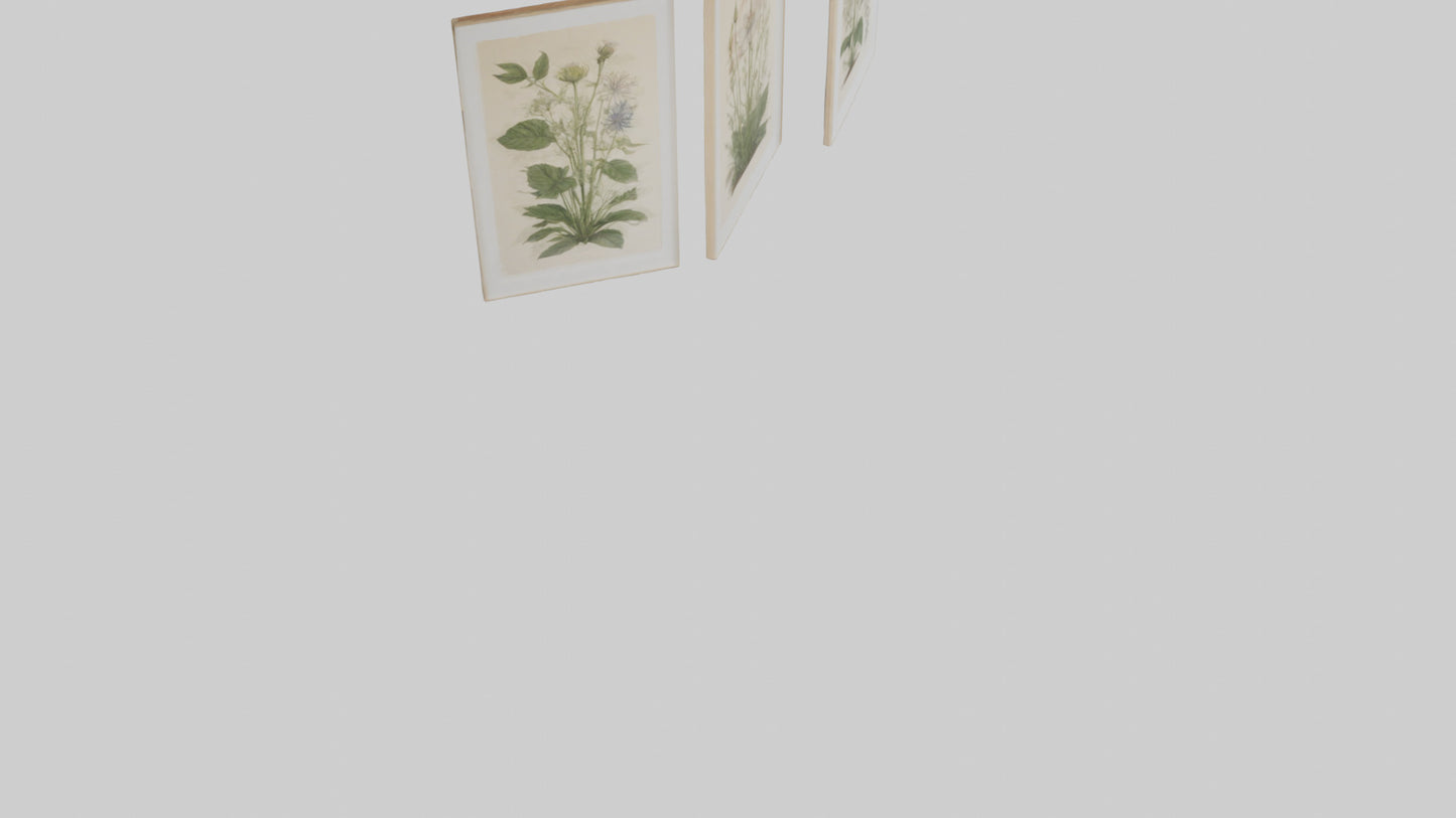 Framed Botanical Prints 3D model