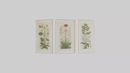 Framed Botanical Prints 3D model