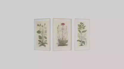 Framed Botanical Prints 3D model