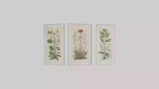 Framed Botanical Prints 3D model