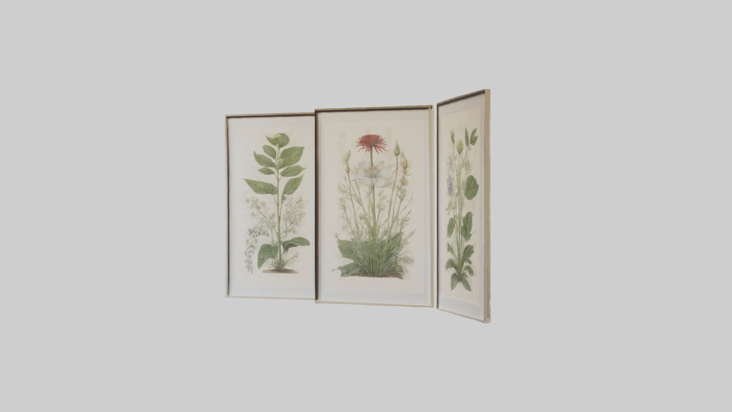 Framed Botanical Prints 3D model