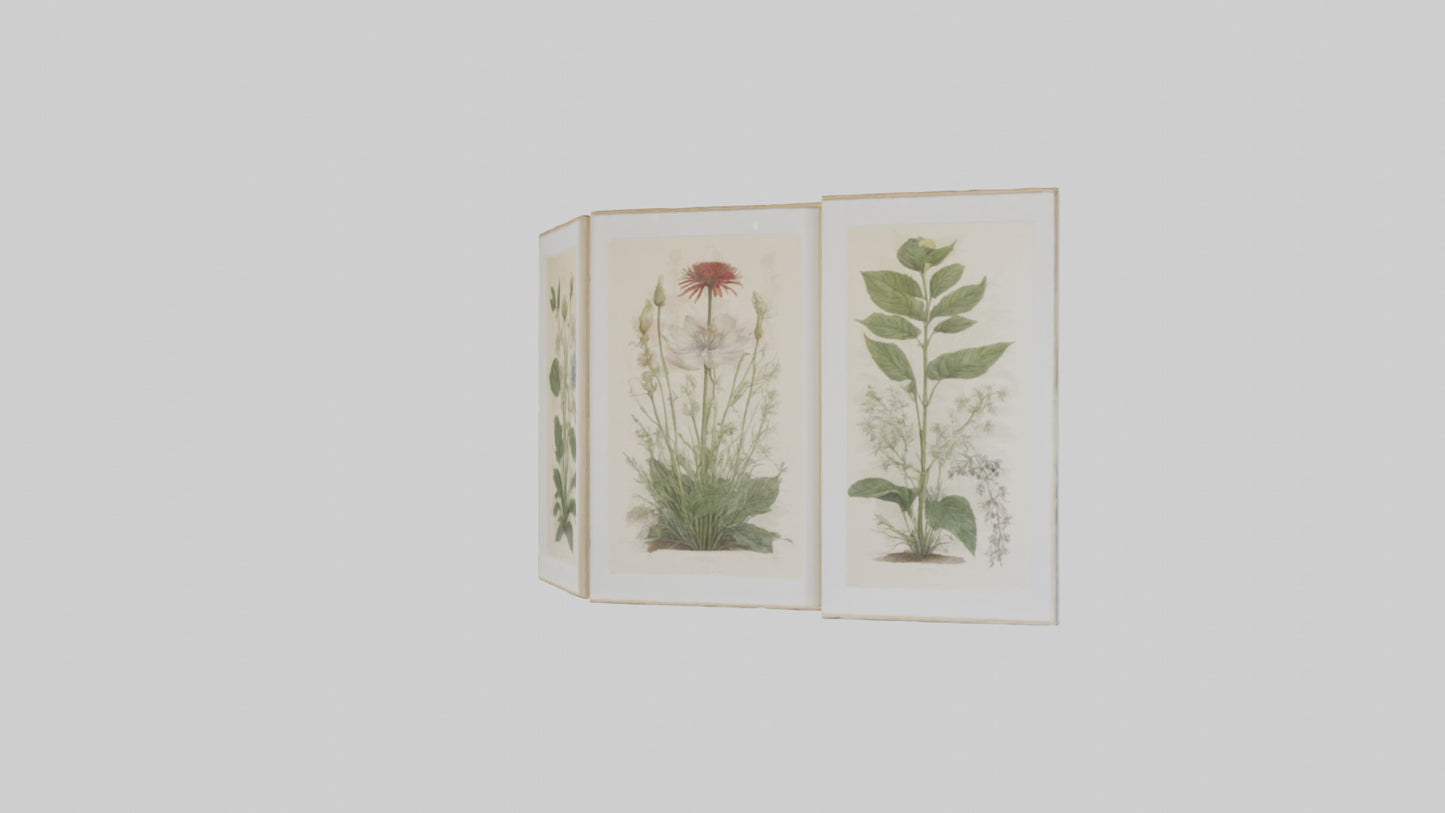 Framed Botanical Prints 3D model