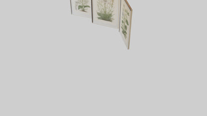 Framed Botanical Prints 3D model