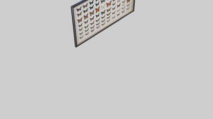 Framed Butterfly Collection 3D model