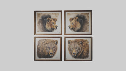 Framed Wildlife Prints VR / AR / low-poly