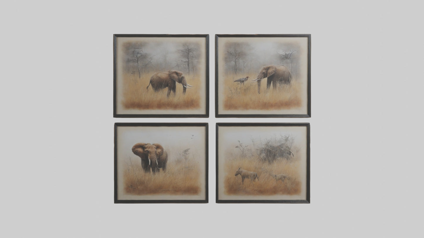 Framed Wildlife Prints VR / AR / low-poly