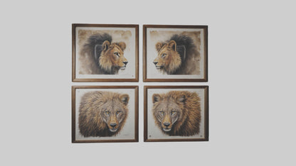 Framed Wildlife Prints VR / AR / low-poly