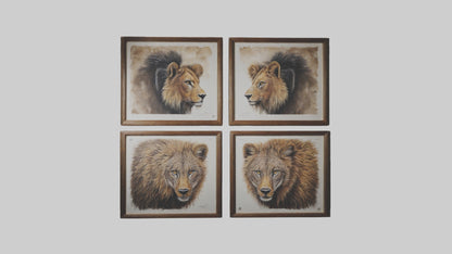 Framed Wildlife Prints VR / AR / low-poly