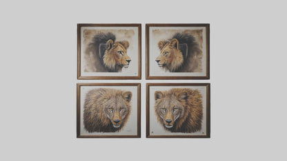 Framed Wildlife Prints VR / AR / low-poly