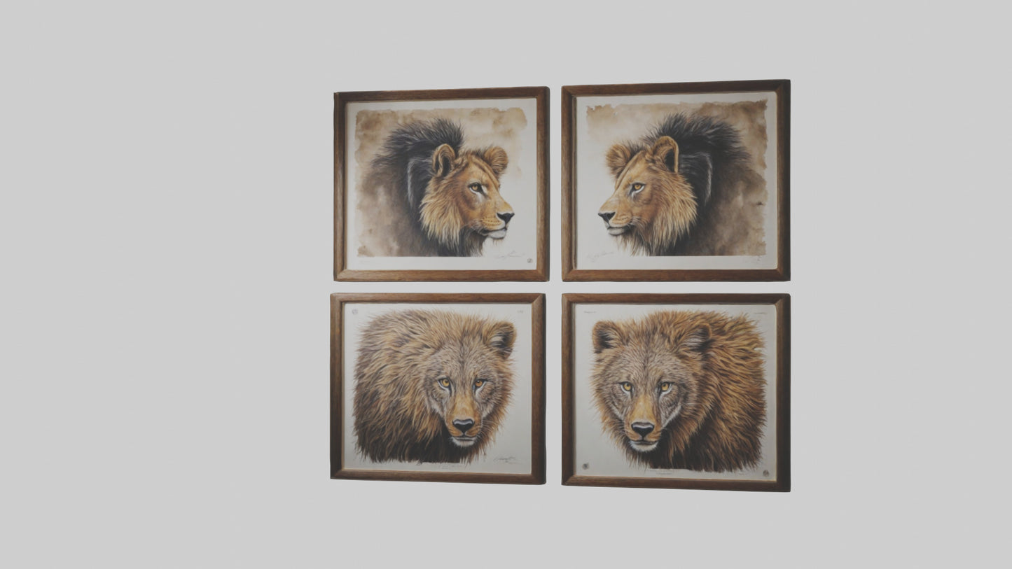 Framed Wildlife Prints VR / AR / low-poly