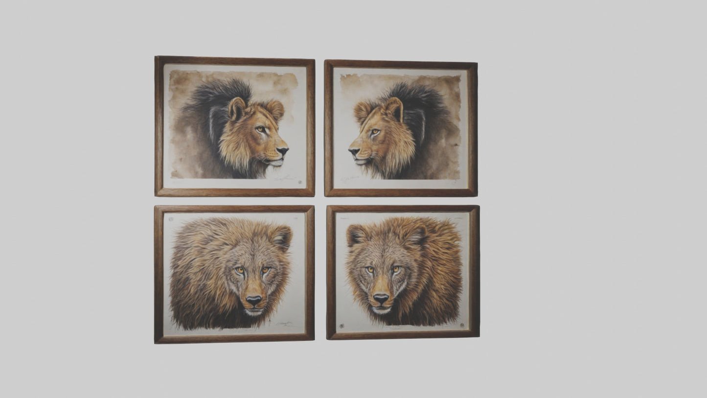 Framed Wildlife Prints VR / AR / low-poly