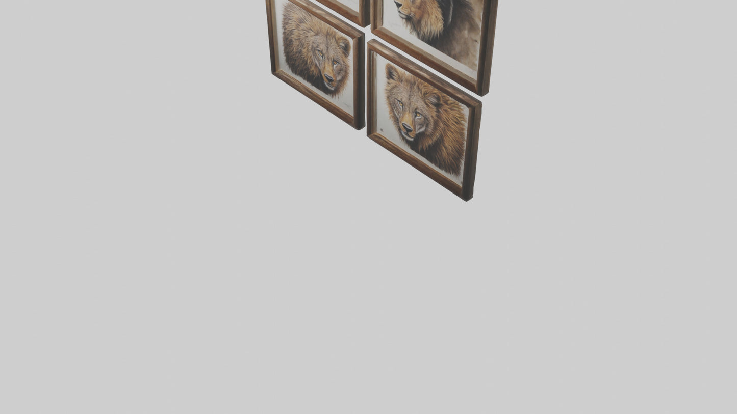 Framed Wildlife Prints VR / AR / low-poly