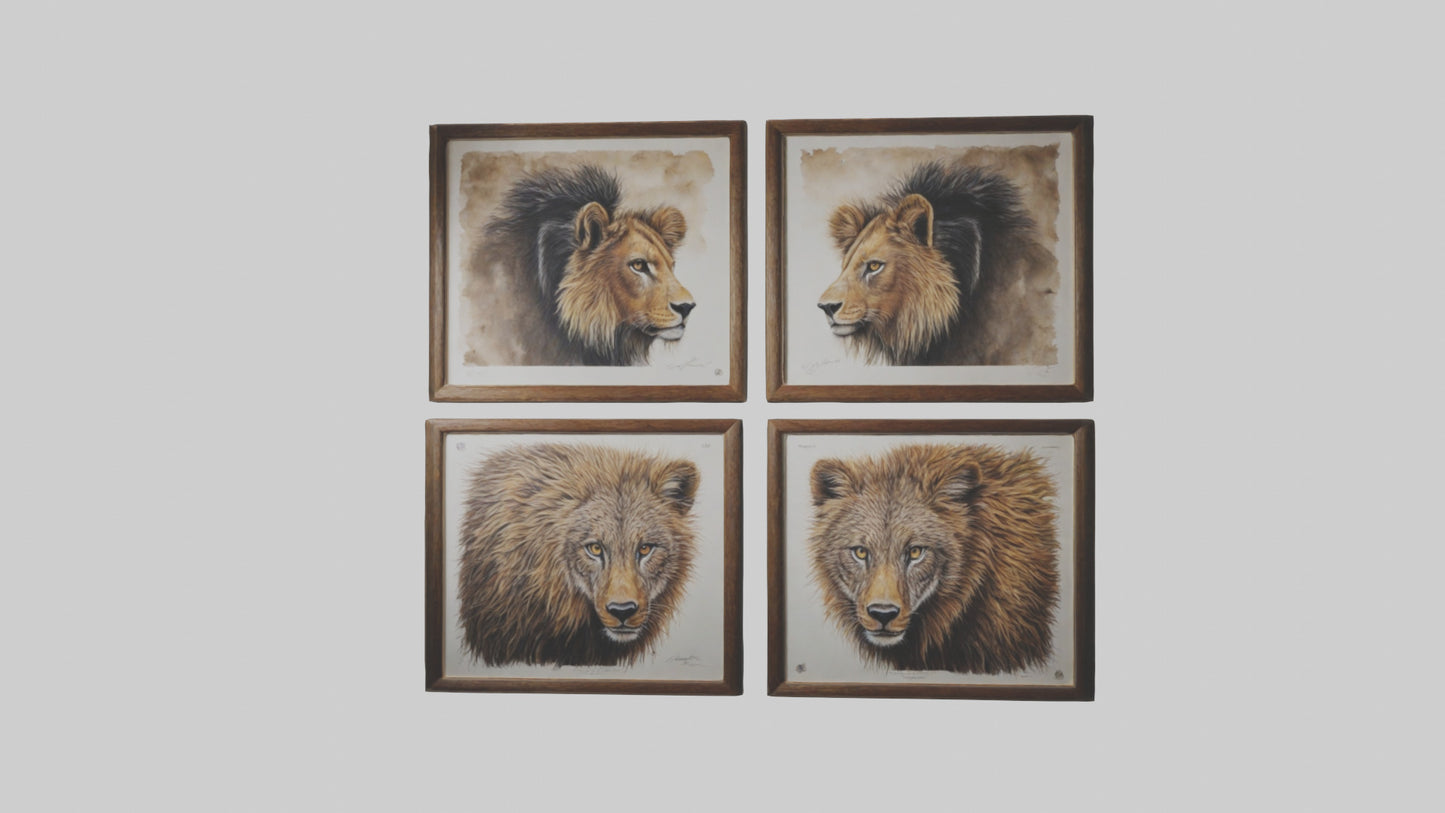 Framed Wildlife Prints VR / AR / low-poly
