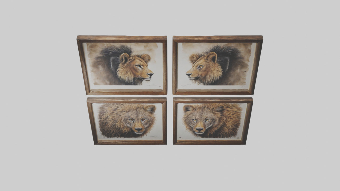 Framed Wildlife Prints VR / AR / low-poly