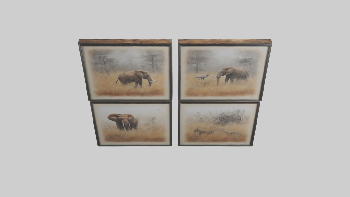 Framed Wildlife Prints VR / AR / low-poly