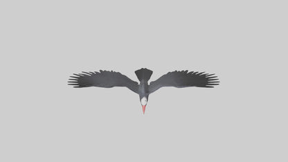 Frigatebird soaring model 3D model