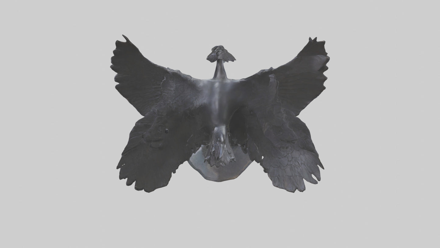 Frigatebird statue model 3D model