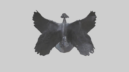 Frigatebird statue model 3D model