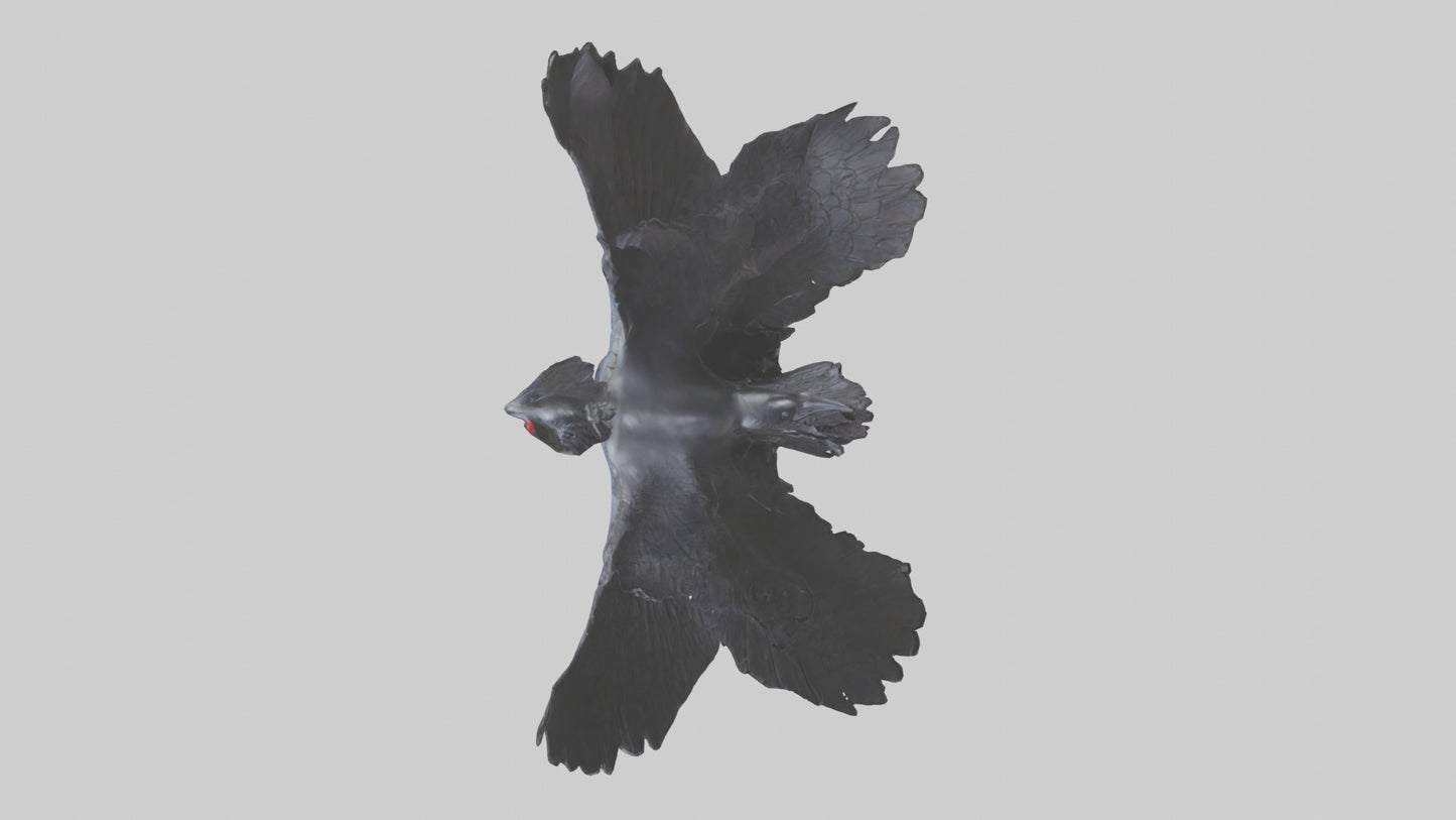 Frigatebird statue model 3D model