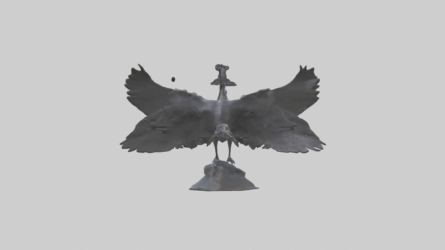 Frigatebird statue model 3D model