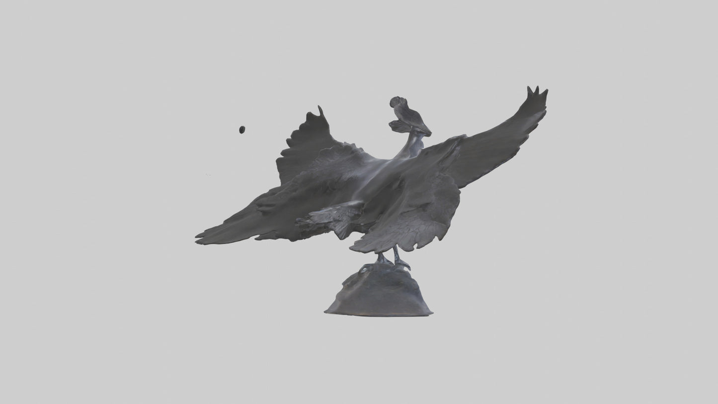 Frigatebird statue model 3D model