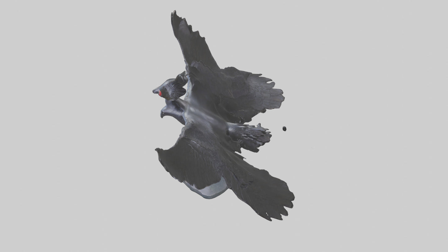 Frigatebird statue model 3D model