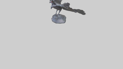 Frigatebird statue model 3D model