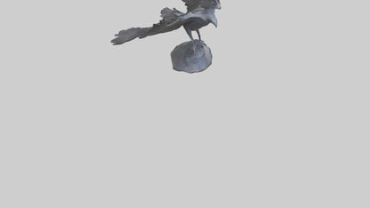 Frigatebird statue model 3D model