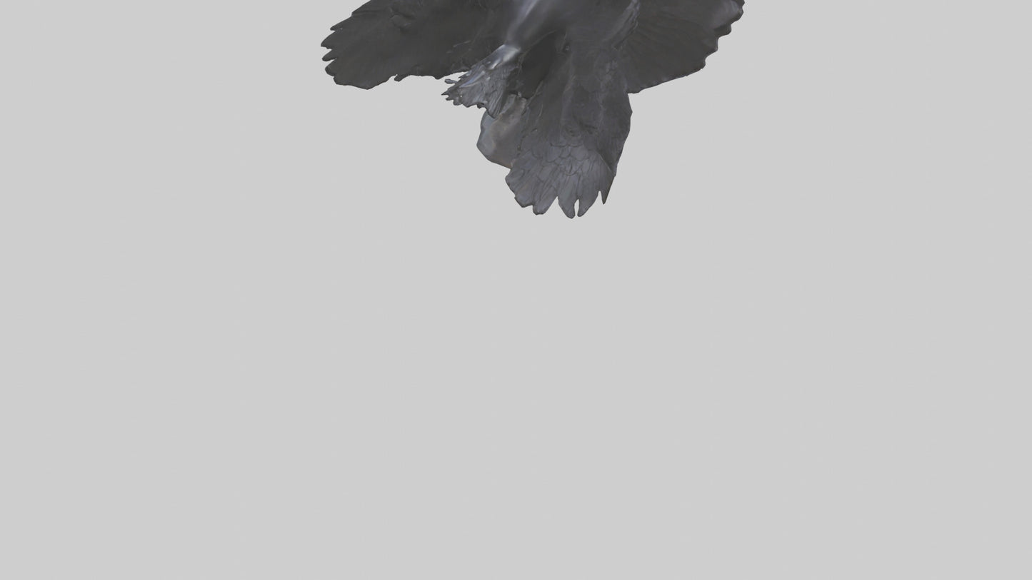 Frigatebird statue model 3D model