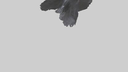 Frigatebird statue model 3D model