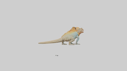 FrillNecked Lizard displaying model 3D model