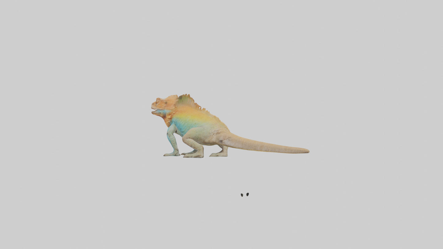 FrillNecked Lizard displaying model 3D model