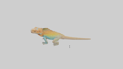 FrillNecked Lizard displaying model 3D model