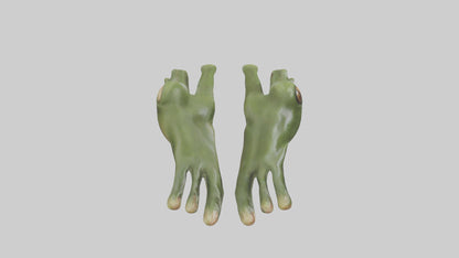 Frog Feet Model 3D model