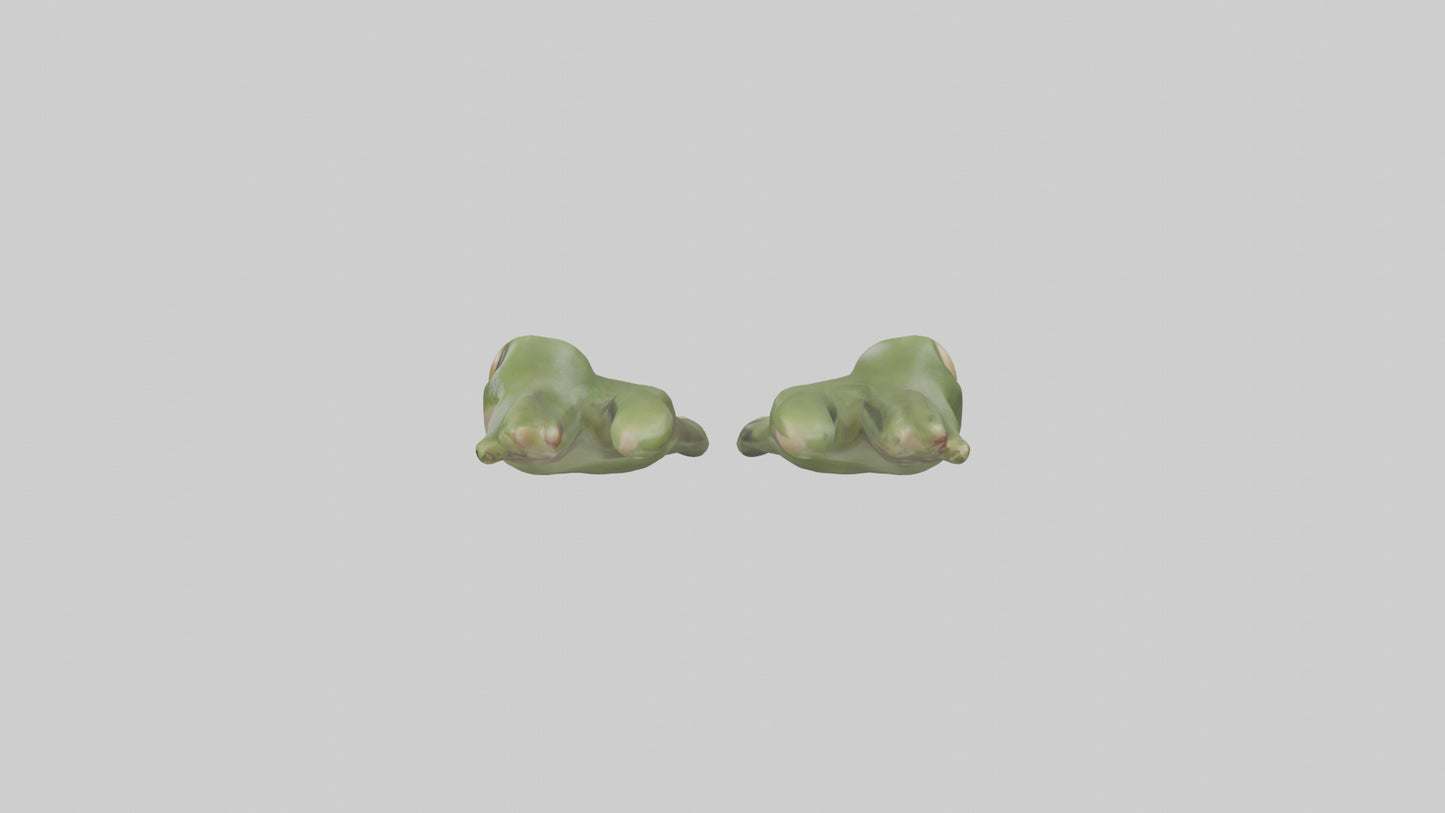 Frog Feet Model 3D model