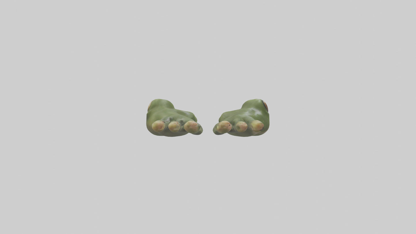 Frog Feet Model 3D model
