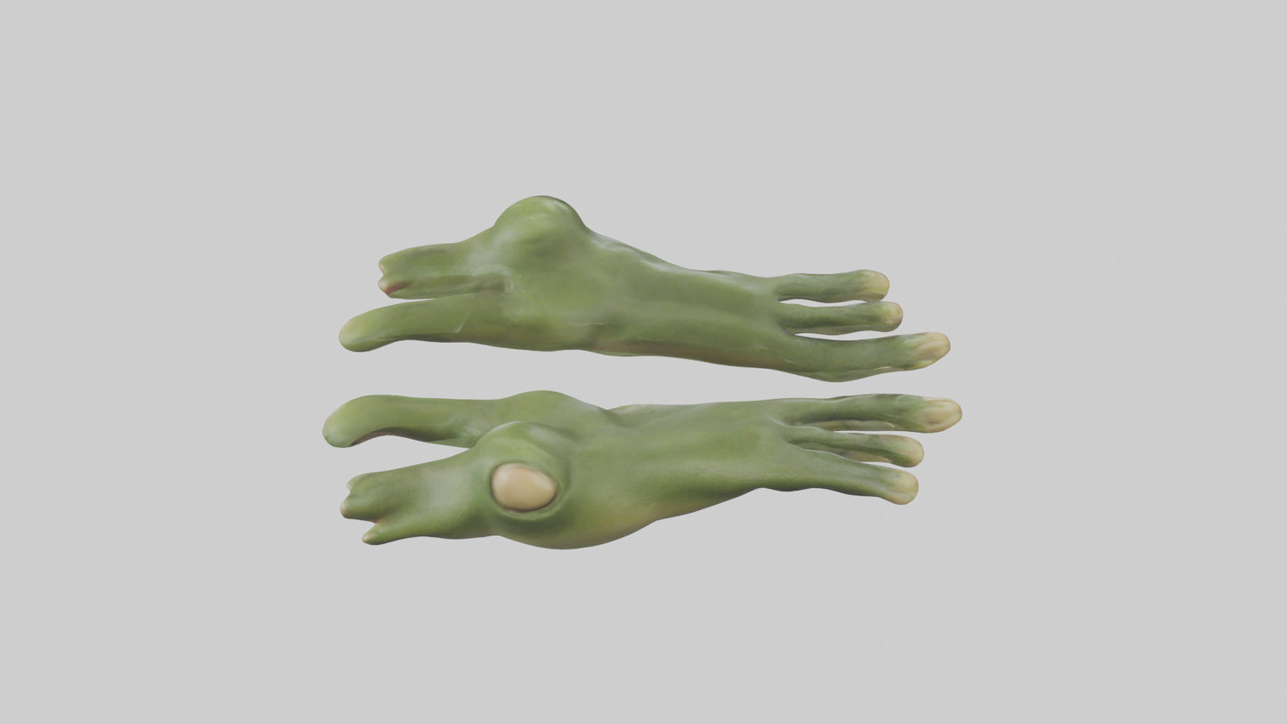 Frog Feet Model 3D model