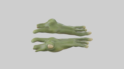 Frog Feet Model 3D model