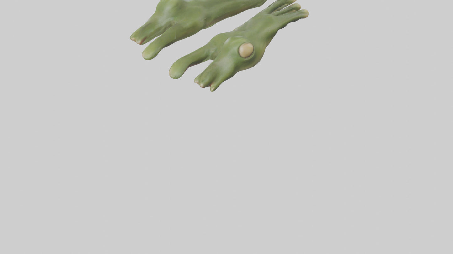 Frog Feet Model 3D model