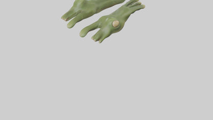 Frog Feet Model 3D model